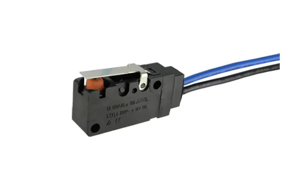 Interruptor de energia eletrônico à prova d'água Rocker Botão de ação instantânea Microinterruptor/Interruptor à prova d'água Ws2 personalizado para ar condicionado